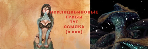 синтетический гашиш Алексеевка