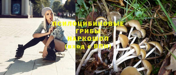 таблы Алексин