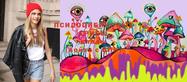 таблы Алексин